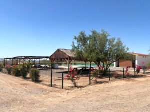 area comun OASIS