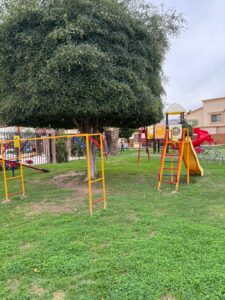 WhatsApp Image 2026 02 14 at 9.17.11 AM (21)