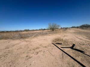 WhatsApp Image 2026 03 06 at 11.46.03 AM